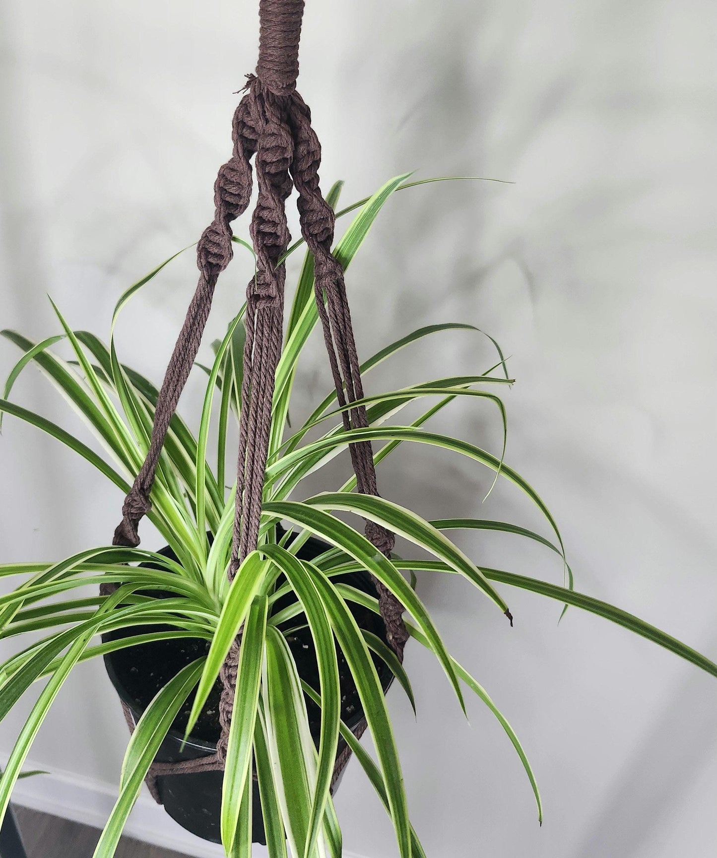Macrame plant hanger, Boho plant decor, hanging planter,boho gift decor, Gift for her, Plant hanger