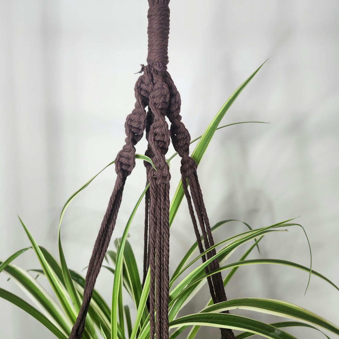 Macrame plant hanger, Boho plant decor, hanging planter,boho gift decor, Gift for her, Plant hanger