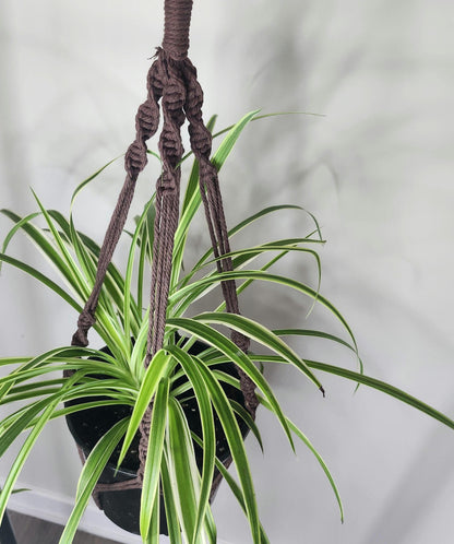 Macrame plant hanger, Boho plant decor, hanging planter,boho gift decor, Gift for her, Plant hanger