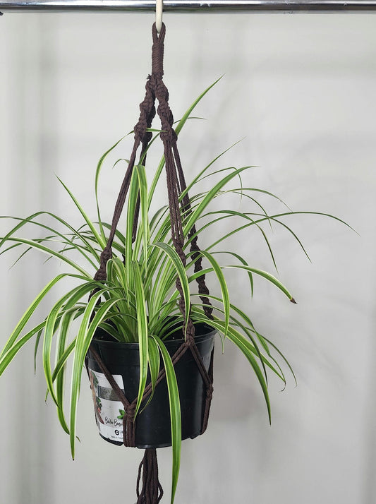 Macrame plant hanger, Boho plant decor, hanging planter,boho gift decor, Gift for her, Plant hanger